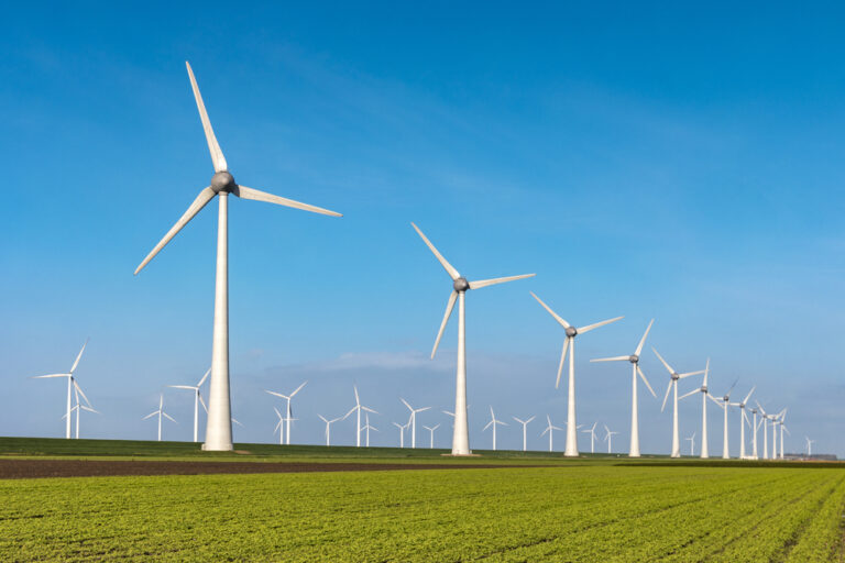 Which States Produce the Most Wind Energy?