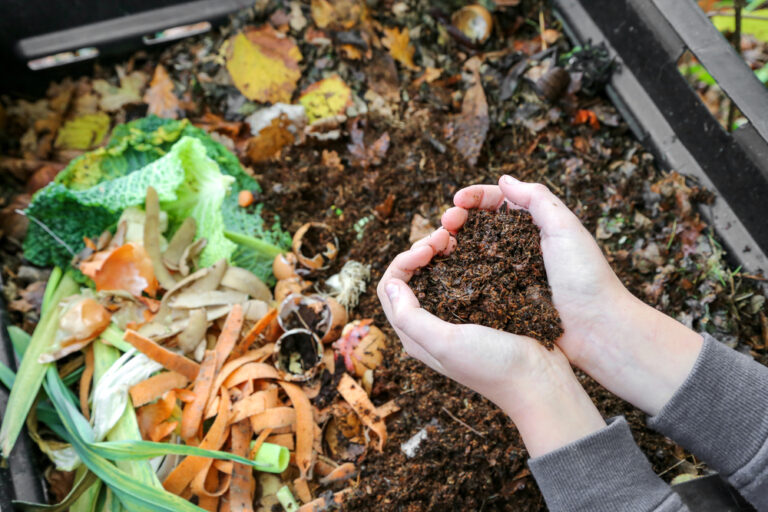 Composting Tips: Everything You Need to Know