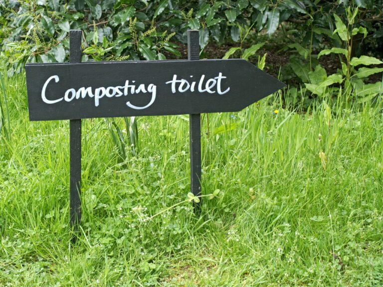What You Need to Know About Composting Toilets