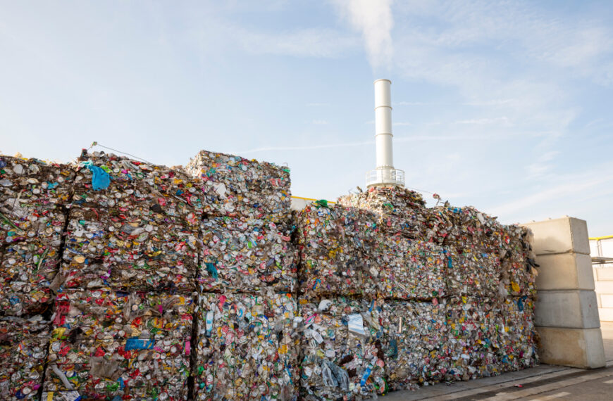The Power of Sustainability: How Businesses Can Propel Change Through Effective Waste Management